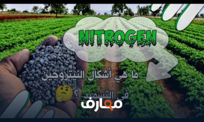 أهمية النيتروجين في تعزيز نمو النباتات وتحسين التربة course preview