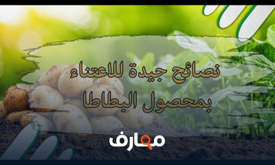 إدارة زراعة الخضروات course preview