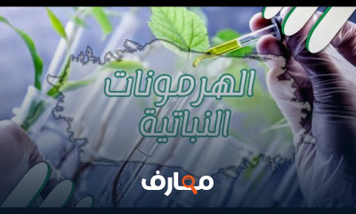 علم وظائف النبات course preview