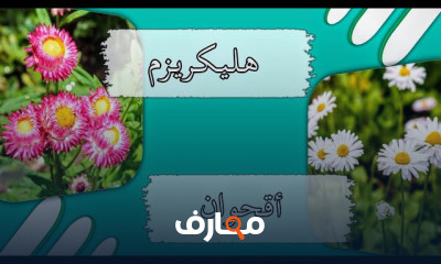 استكشاف أنواع نباتات الزينة course preview