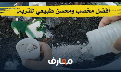 التسميد العضوي للنباتات المنزلية course preview