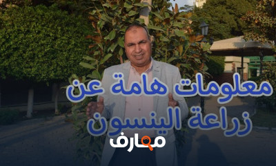 تقنيات زراعة الينسون لتحقيق الأرباح المستدامة course preview