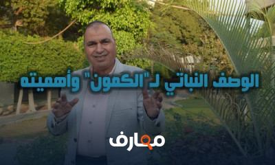 دليل شامل لزراعة الكمون خطوة بخطوة course preview