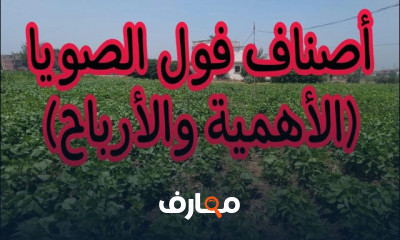 زراعة فول الصويا لتحقيق أقصى الأرباح course preview