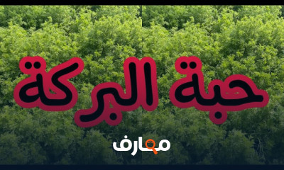 دليل شامل لزراعة حبة البركة خطوة بخطوة course preview