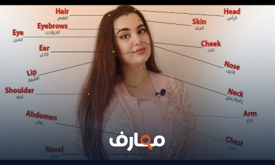 تعلم أجزاء جسم الإنسان باللغة الإنجليزية course preview