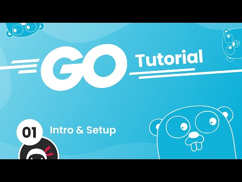 wedti - Free courses with accredited certificates 16 Beginner's Guide to Go Programming course preview