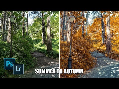 Advanced Lightroom Editing Techniques course preview