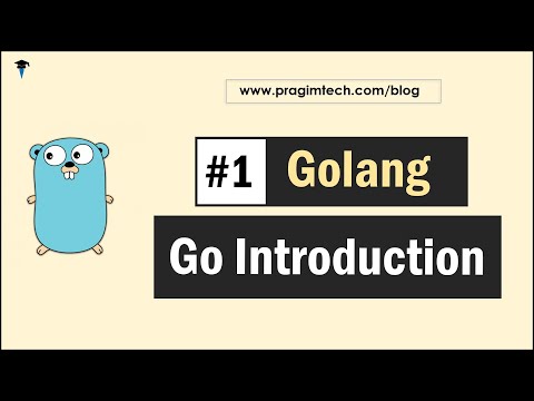 Beginner's Guide to Golang course preview