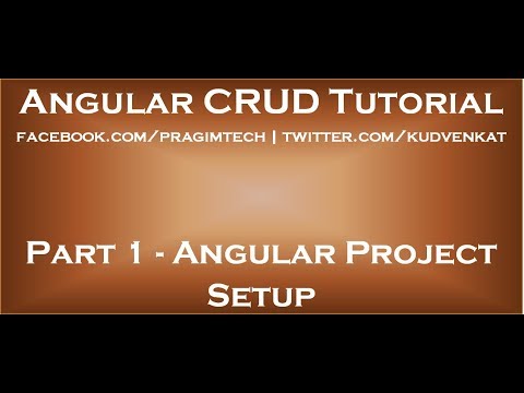 Beginner's Guide to Angular CRUD Operations course preview