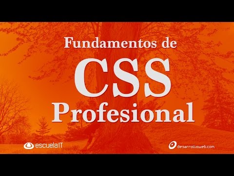 Professional CSS Fundamentals course preview