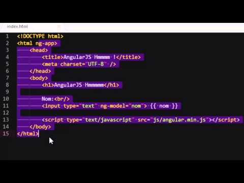 Advanced AngularJS Development course preview