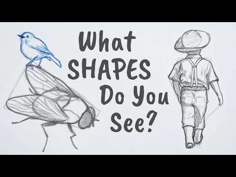 Mastering Drawing with Basic Shapes course preview