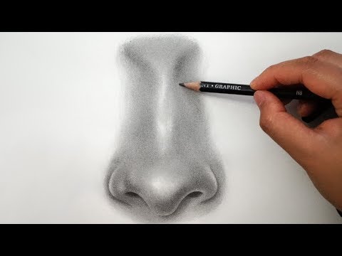 Comprehensive Drawing Tutorials course preview
