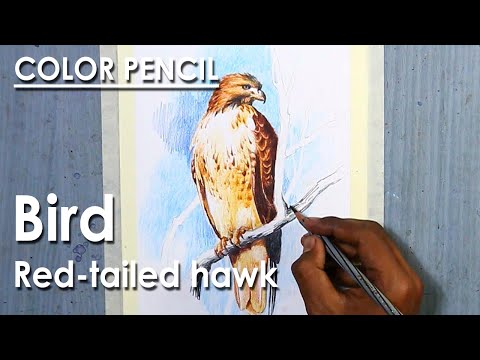 Mastering Colored Pencil Drawing Techniques course preview