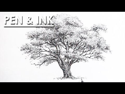Mastering Tree Shading Techniques in Drawing course preview