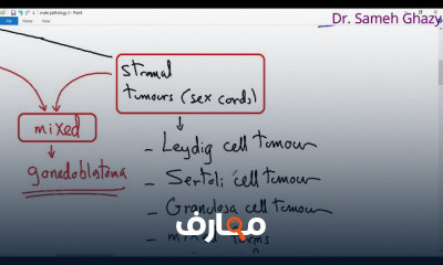 دليل شامل لأمراض الأعضاء التناسلية الذكرية course preview