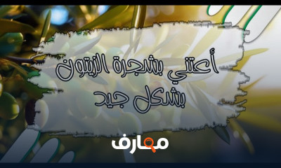 إدارة زراعة الفاكهة course preview