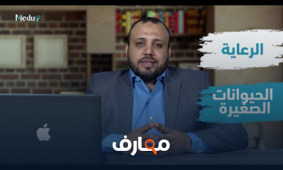الطب البيطري ورعاية الحيوانات الأليفة course preview