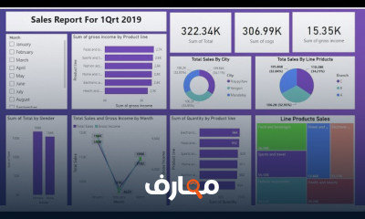 مشاريع تطبيقية في ذكاء الأعمال BI course preview