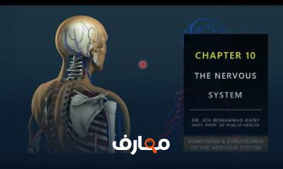 المصطلحات الطبية للأطباء: دليل شامل course preview