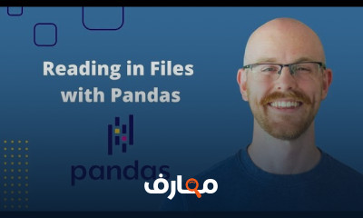 Pandas course preview