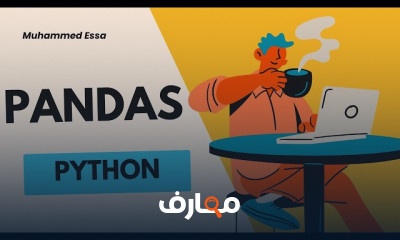 Python Pandas course preview